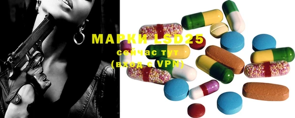 прущие грибы Ступино