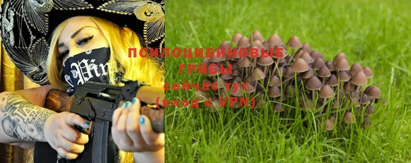 прущие грибы Ступино