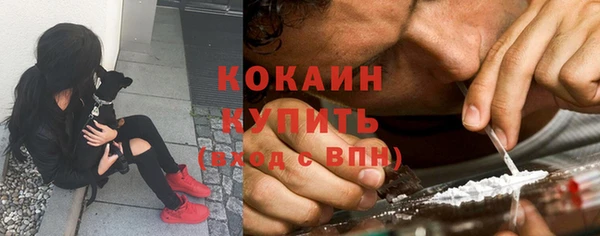 винт Строитель