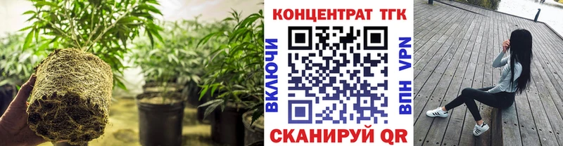Купить закладки  Подпорожье  ТГК THC oil 