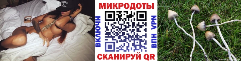 Галлюциногенные грибы GOLDEN TEACHER  Купить закладки  Подпорожье 